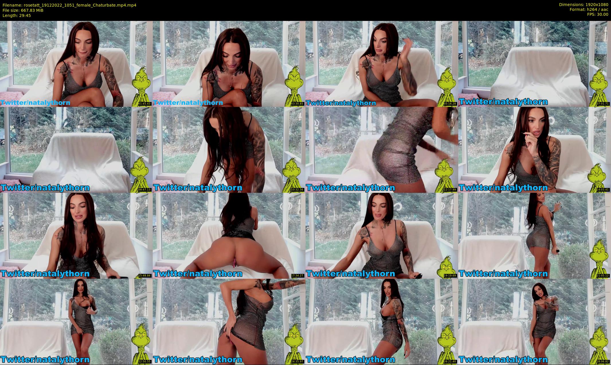 rosetatt — 30 minute Chaturbate female cam show recording, 1080p, Dec 19, 2022