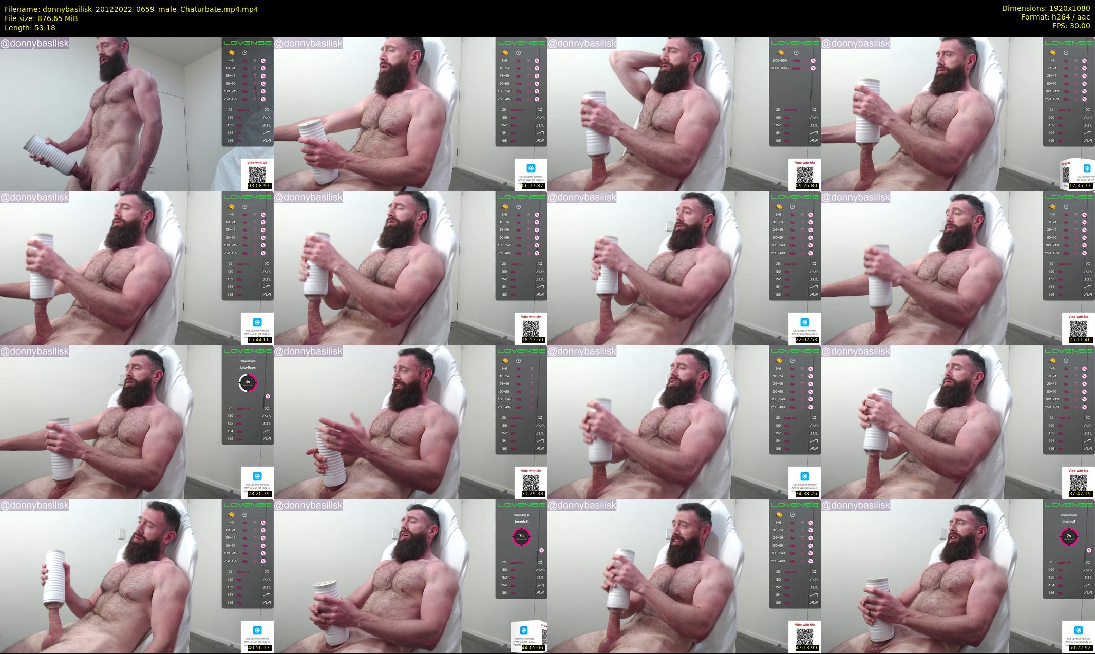 donnybasilisk — 54 minute Chaturbate male cam show recording, 1080p, Dec 20, 2022