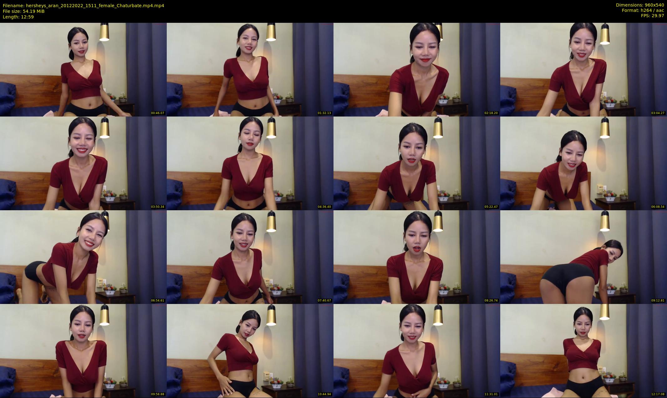 hersheys_aran — 13 minute Chaturbate female cam show recording, 480p, Dec 20, 2022