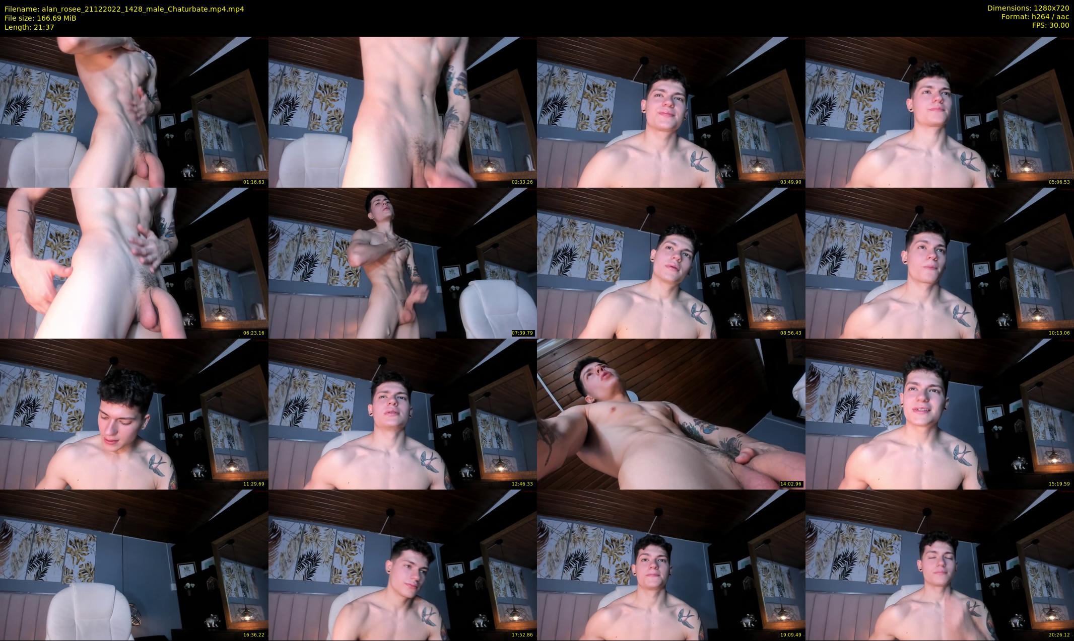 alan_rosee — 22 minute Chaturbate male cam show recording, 720p, Dec 21, 2022