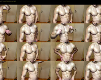 js_ihavecookie — 38 minute Chaturbate male cam show recording, 1080p, Dec 21, 2022