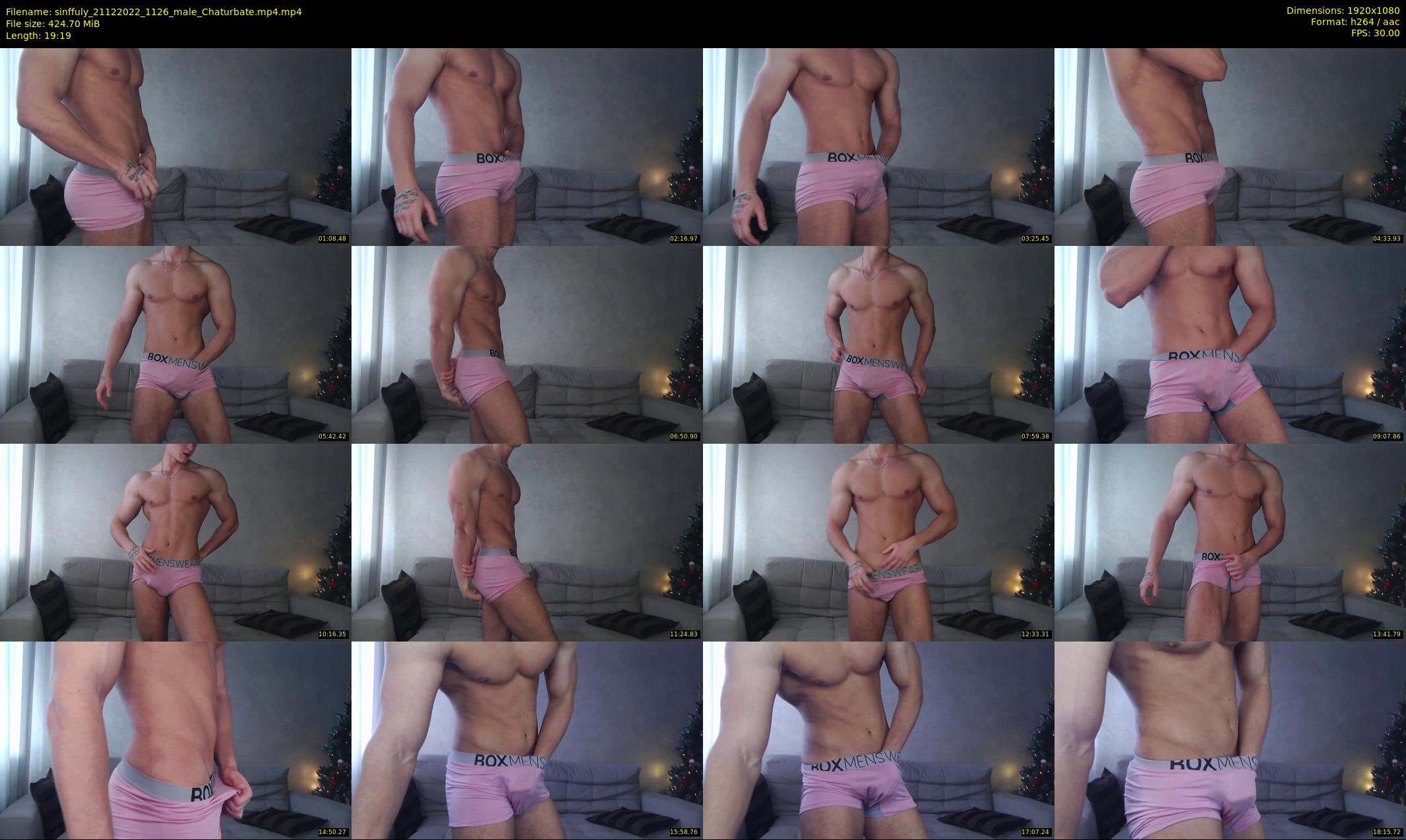 sinffuly — 20 minute Chaturbate male cam show recording, 1080p, Dec 21, 2022