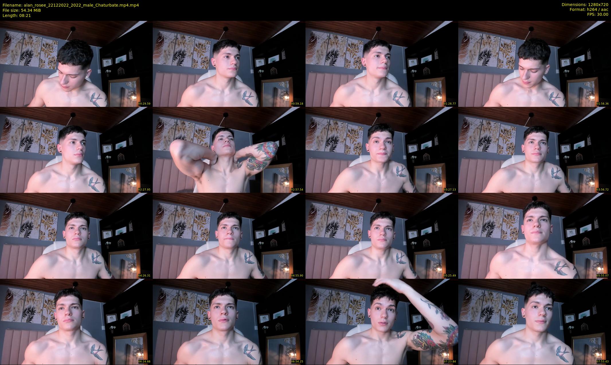 alan_rosee — 9 minute Chaturbate male cam show recording, 720p, Dec 22, 2022