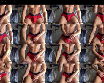 bestdick1991 — 29 minute Chaturbate male cam show recording, 720p, Dec 22, 2022