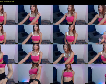 nale4u — 9 minute Chaturbate female cam show recording, 720p, Dec 22, 2022