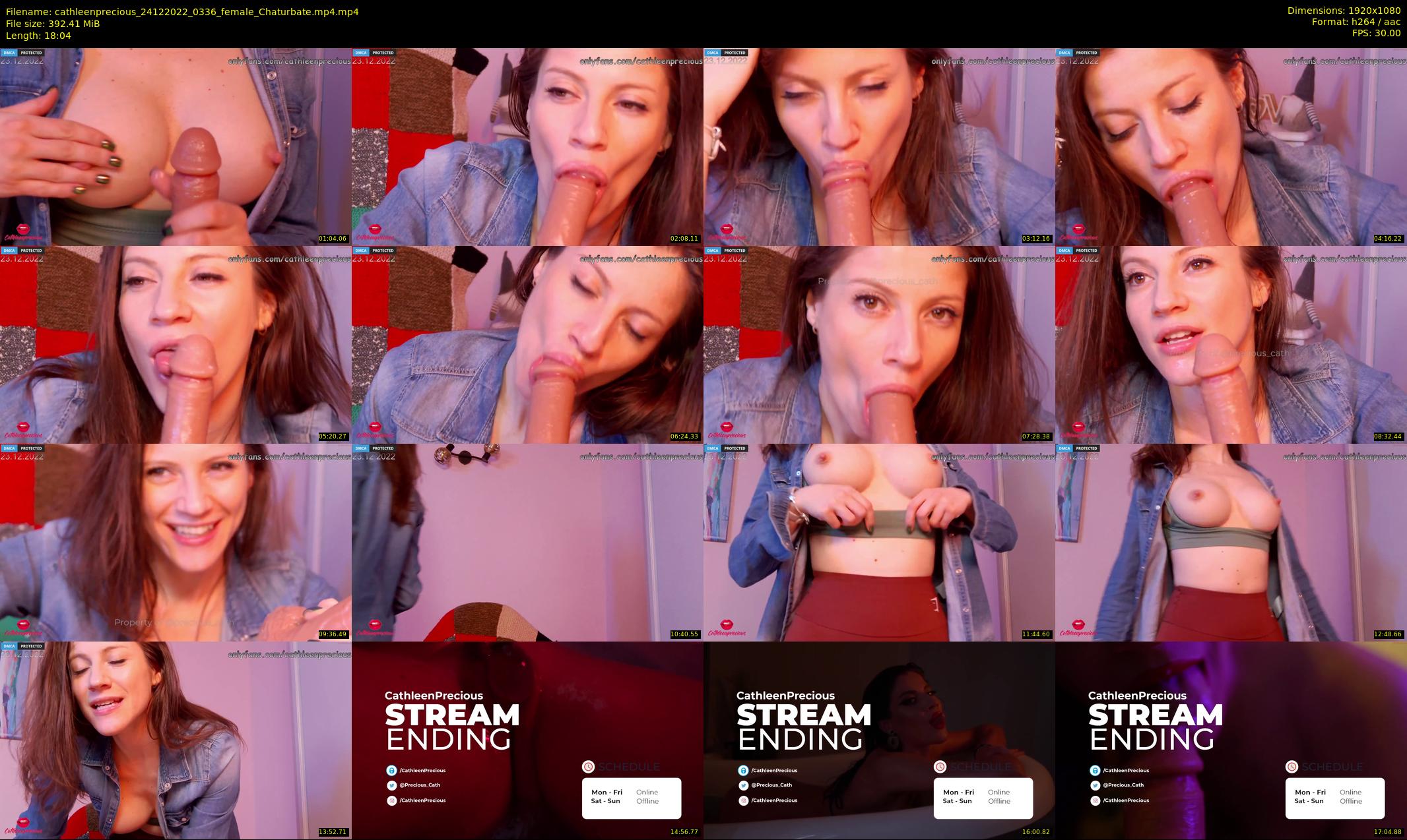 cathleenprecious — 19 minute Chaturbate female cam show recording, 1080p, Dec 24, 2022