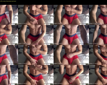 bestdick1991 — 23 minute Chaturbate male cam show recording, 720p, Dec 24, 2022