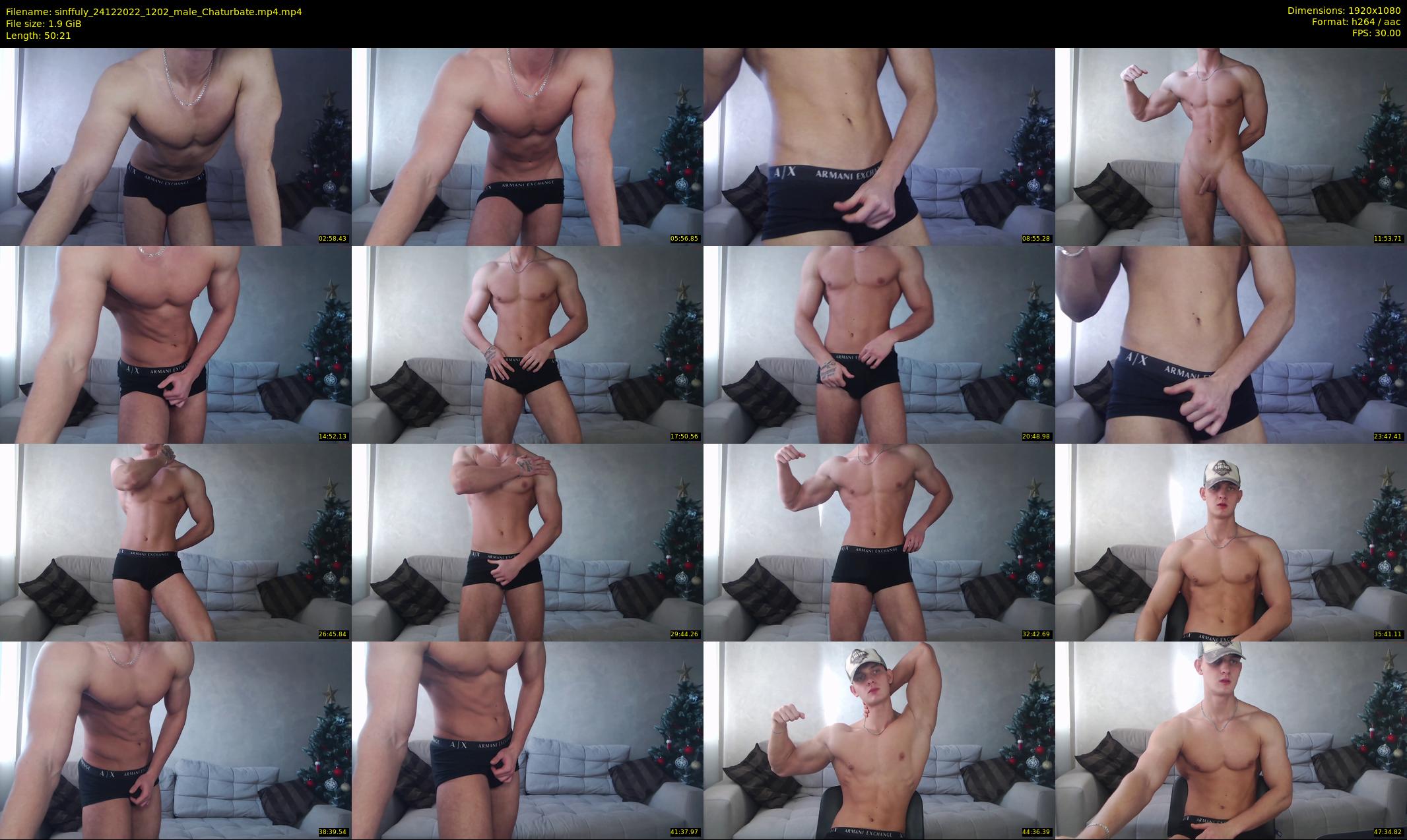 sinffuly — 51 minute Chaturbate male cam show recording, 1080p, Dec 24, 2022