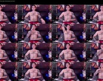 mr_longboy — 8 minute Chaturbate male cam show recording, 1080p, Dec 25, 2022