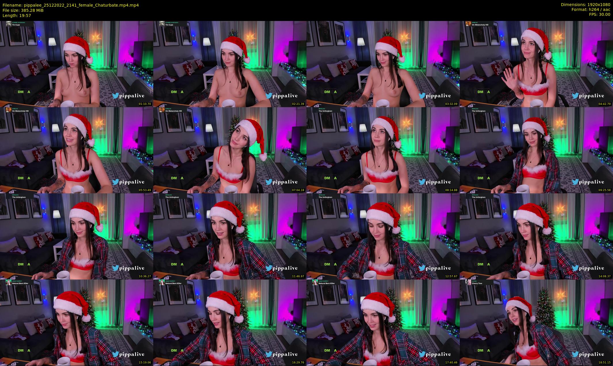 pippalee — 20 minute Chaturbate female cam show recording, 1080p, Dec 25, 2022