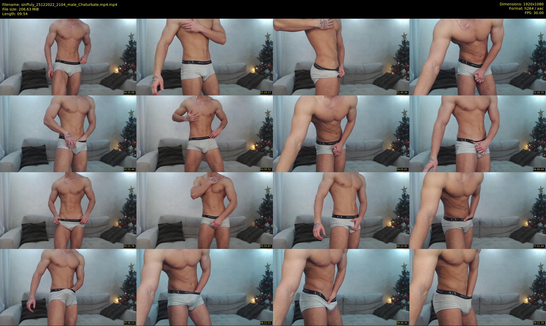 sinffuly — 10 minute Chaturbate male cam show recording, 1080p, Dec 25, 2022