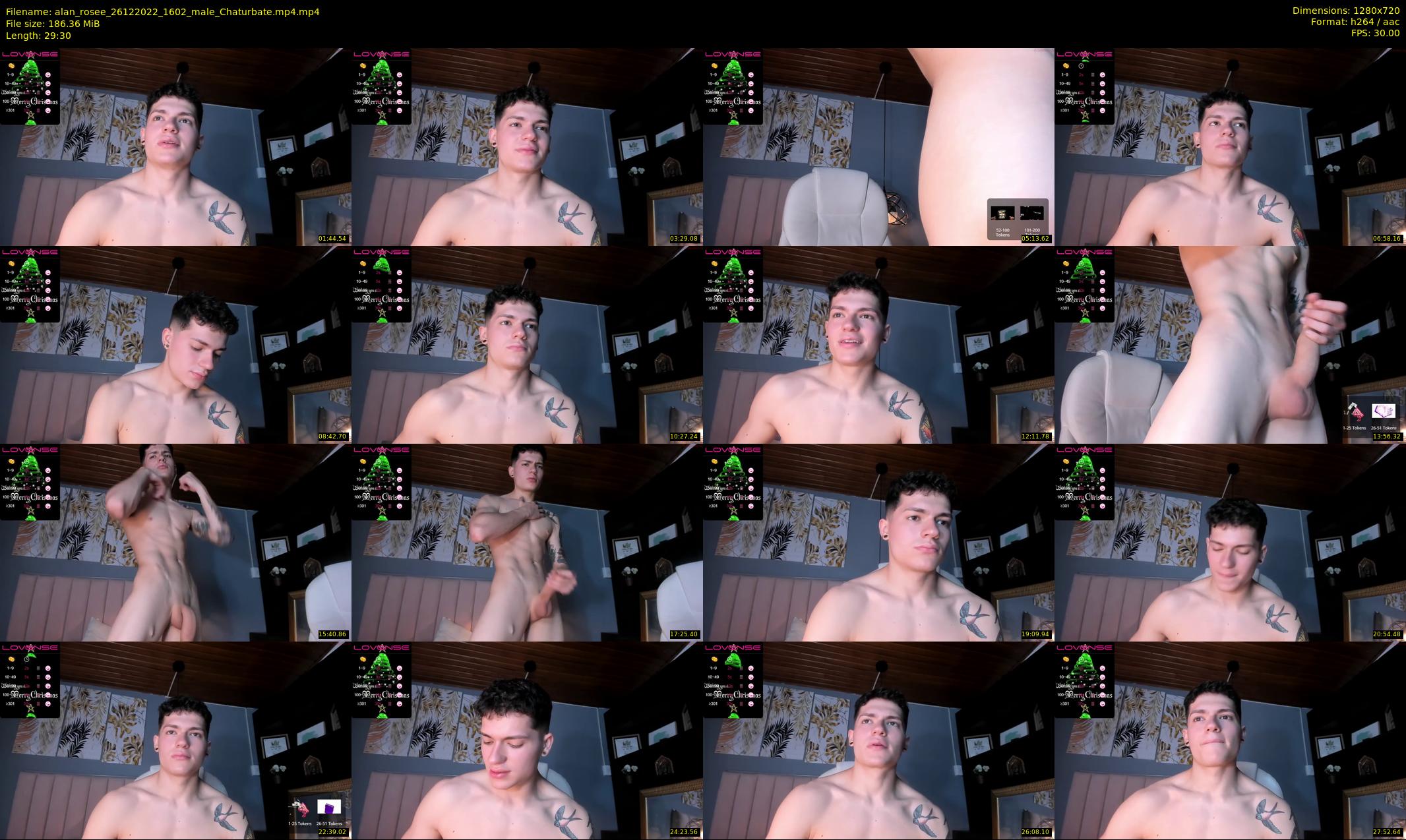 alan_rosee — 30 minute Chaturbate male cam show recording, 720p, Dec 26, 2022