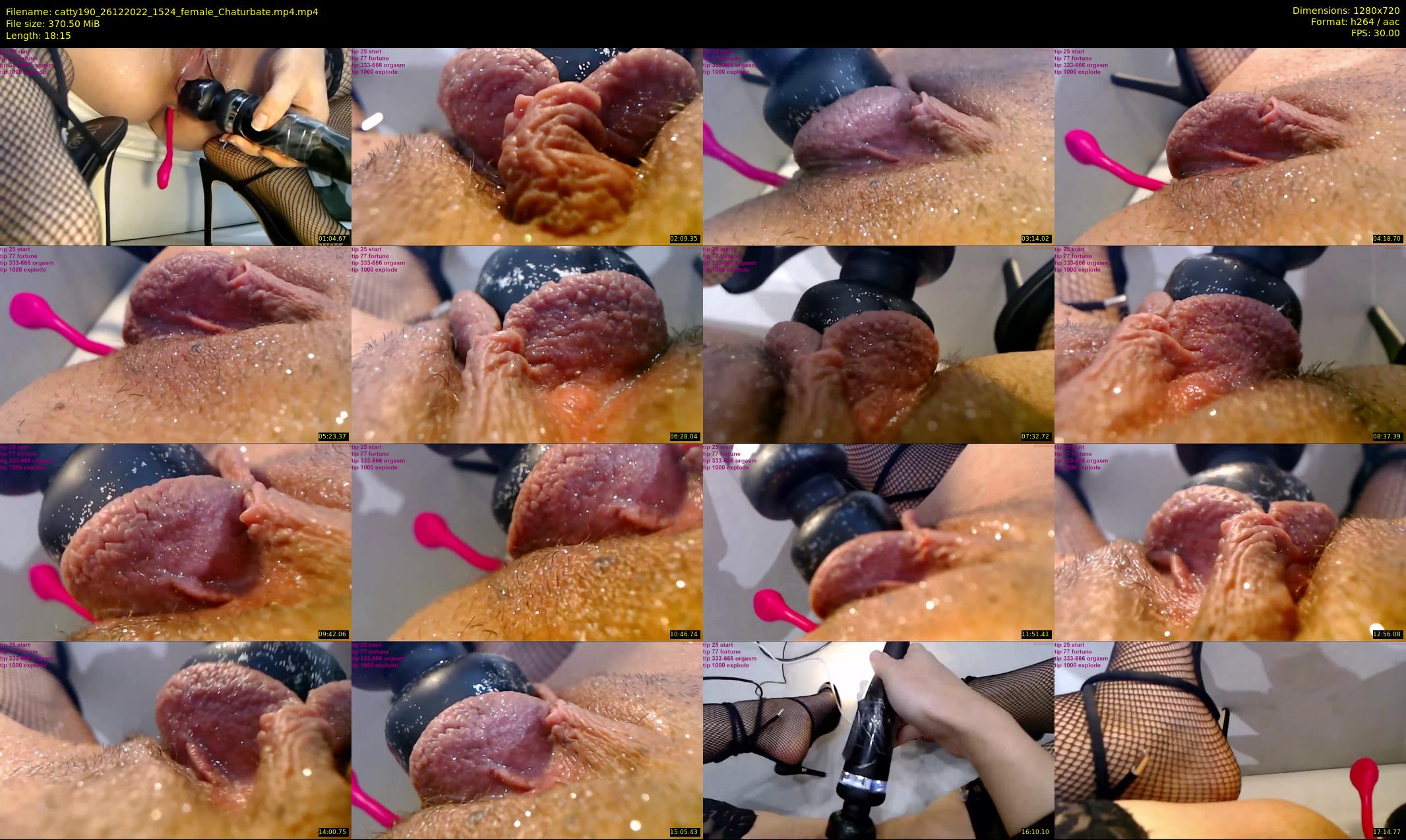 catty190 — 19 minute Chaturbate female cam show recording, 720p, Dec 26, 2022