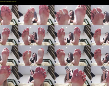 black_alex_ — 8 minute Chaturbate couple cam show recording, 720p, Dec 27, 2022