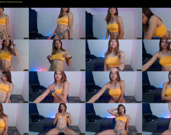 nale4u — 28 minute Chaturbate female cam show recording, 720p, Dec 27, 2022