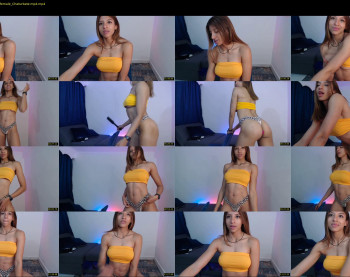 nale4u — 16 minute Chaturbate female cam show recording, 720p, Dec 27, 2022