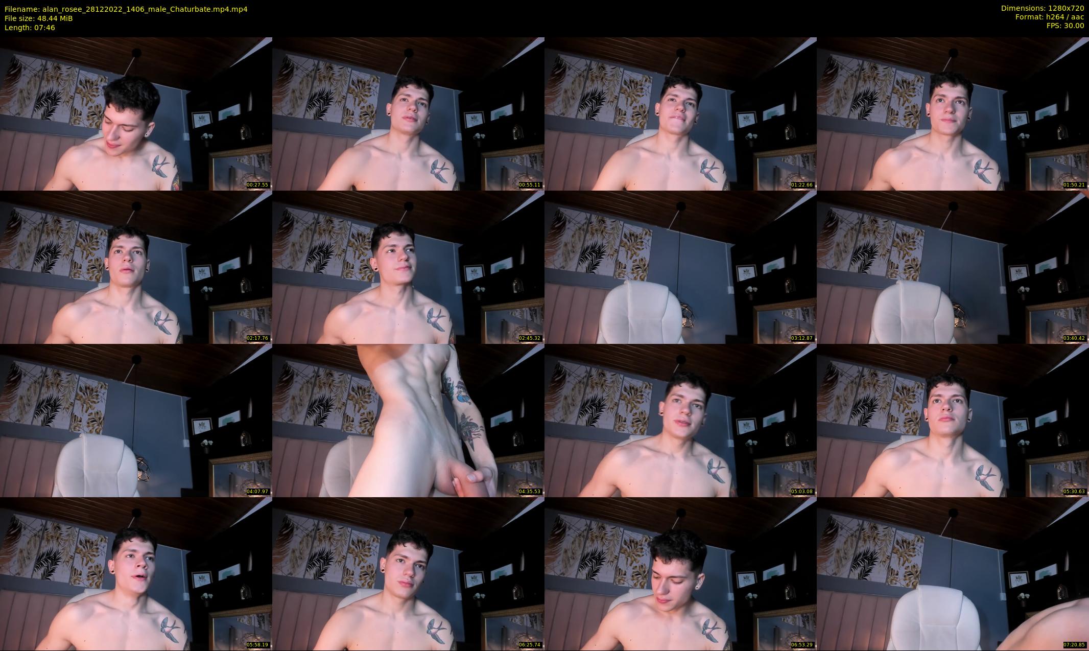alan_rosee — 8 minute Chaturbate male cam show recording, 720p, Dec 28, 2022
