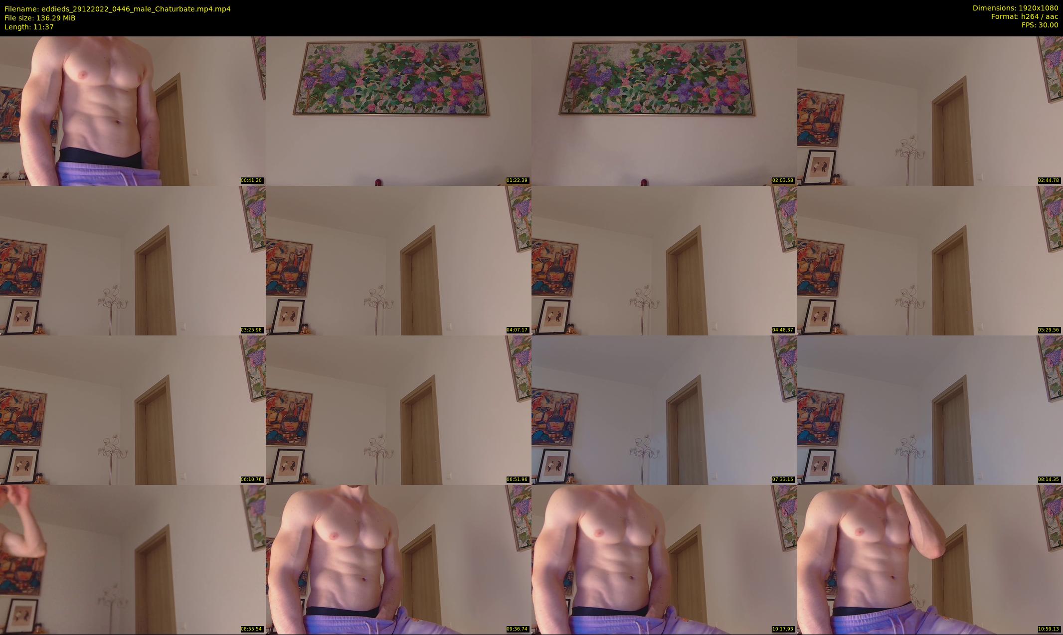 eddieds — 12 minute Chaturbate male cam show recording, 1080p, Dec 29, 2022