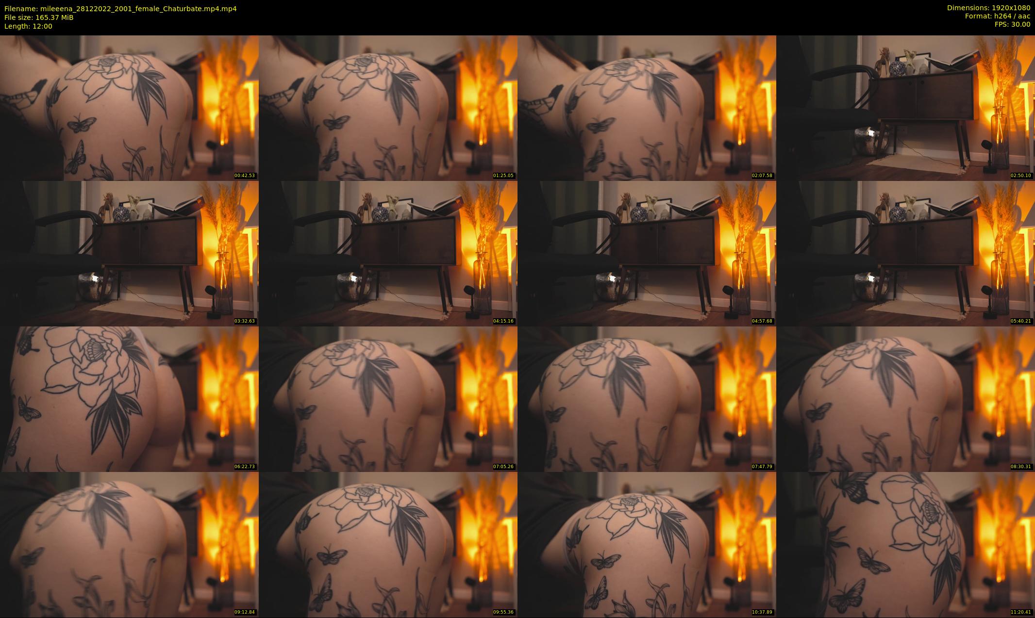 mileeena — 12 minute Chaturbate female cam show recording, 1080p, Dec 28, 2022