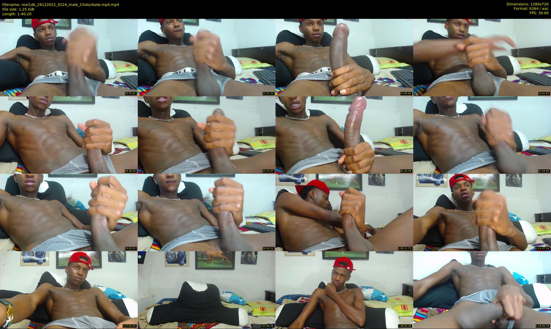 real1dk — 101 minute Chaturbate male cam show recording, 720p, Dec 29, 2022