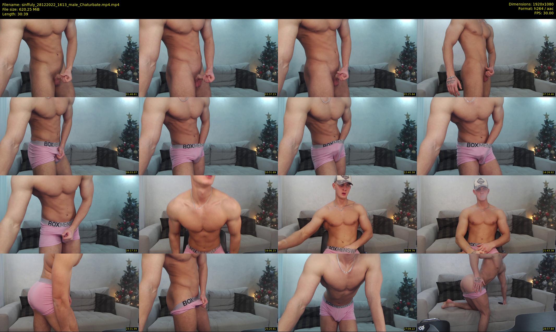 sinffuly — 31 minute Chaturbate male cam show recording, 1080p, Dec 28, 2022