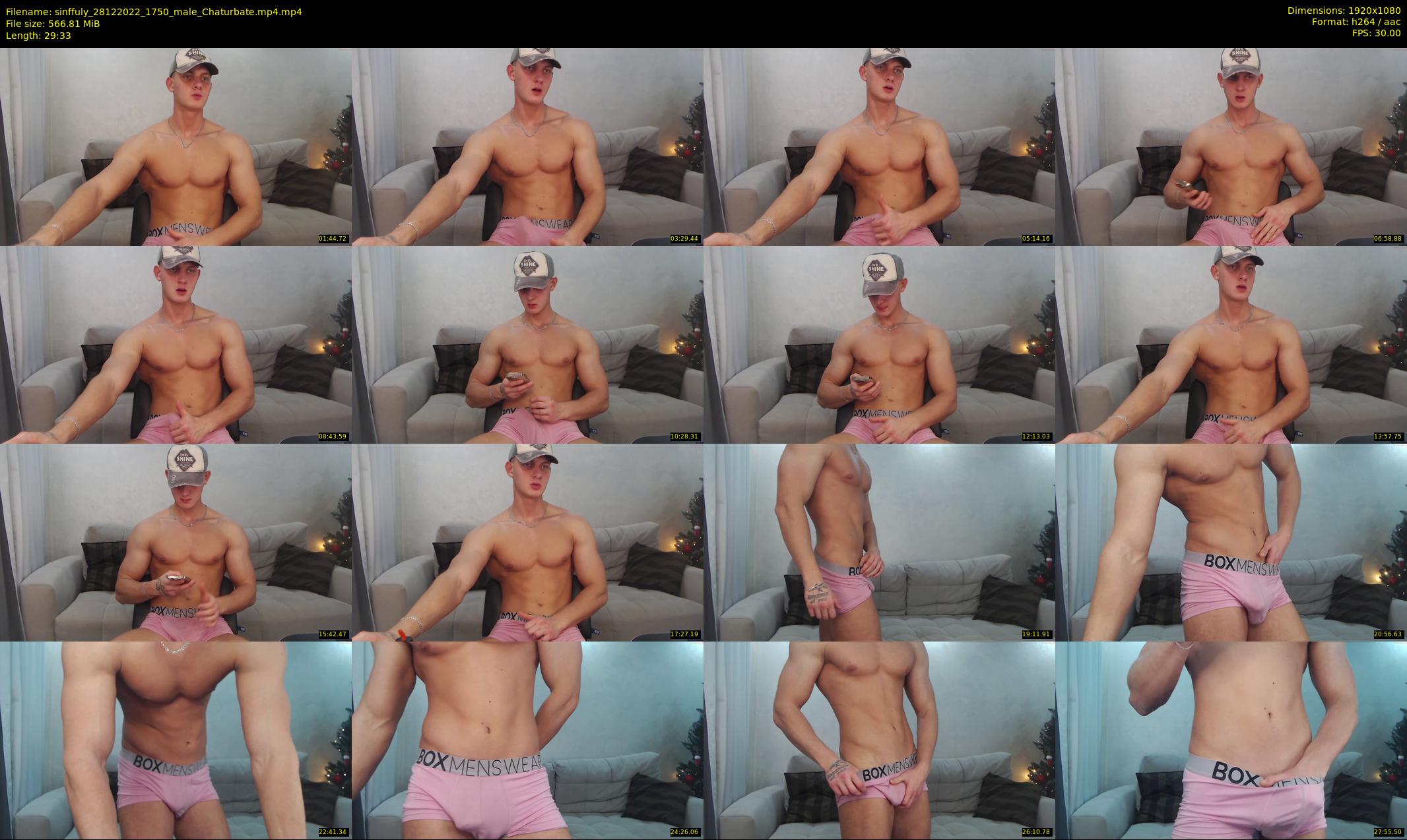 sinffuly — 30 minute Chaturbate male cam show recording, 1080p, Dec 28, 2022