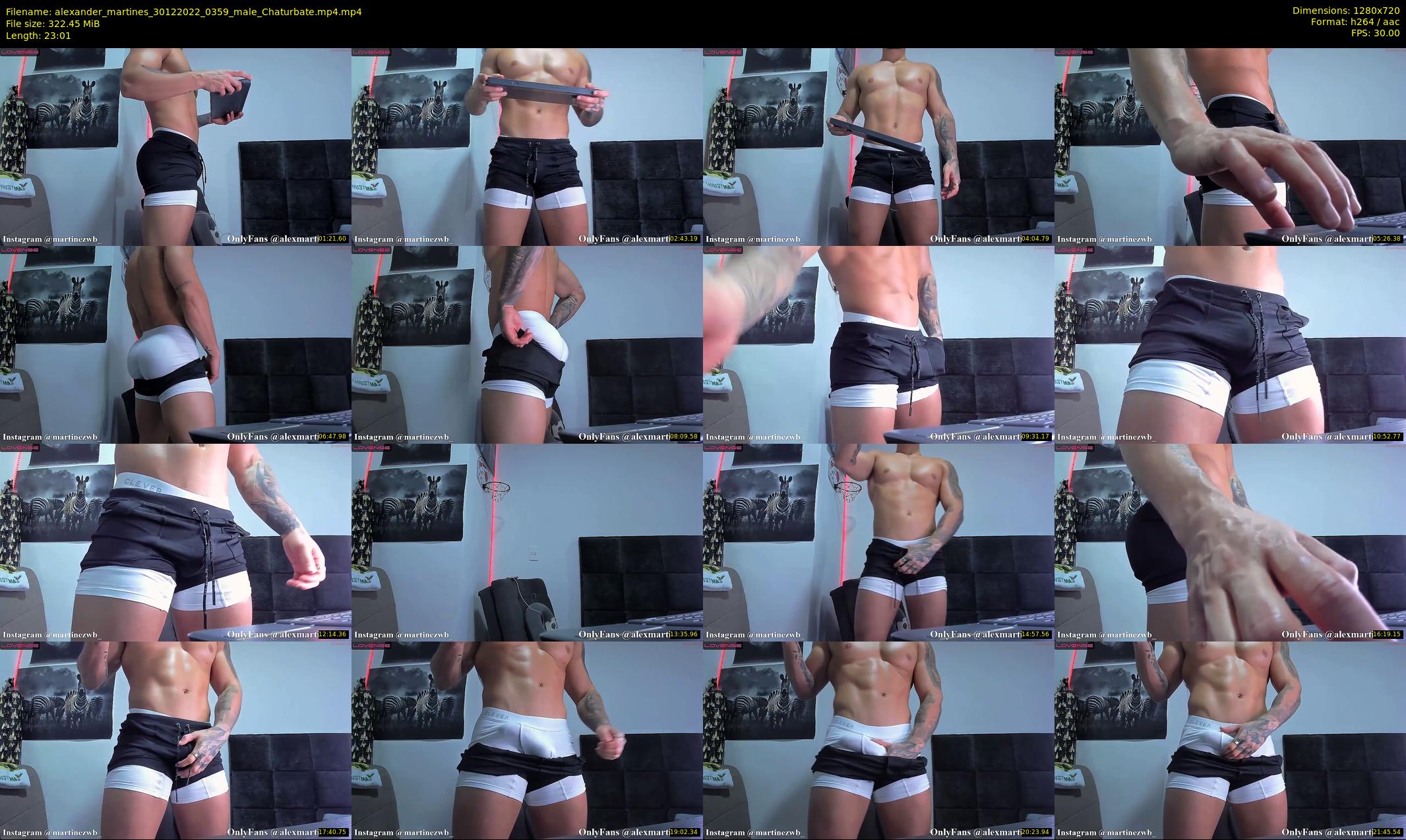 alexander_martines — 24 minute Chaturbate male cam show recording, 720p, Dec 30, 2022