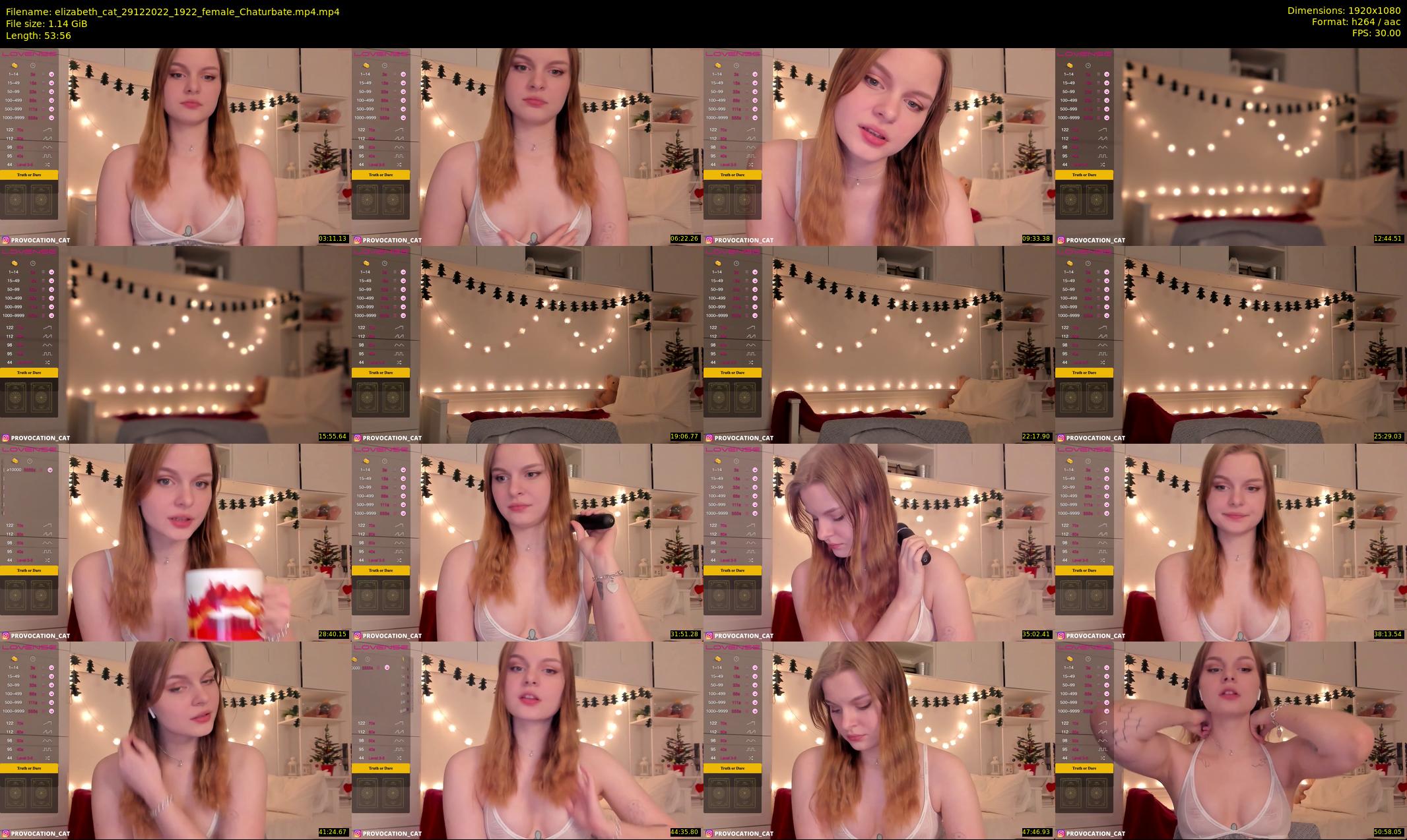 elizabeth_cat — 54 minute Chaturbate female cam show recording, 1080p, Dec 29, 2022