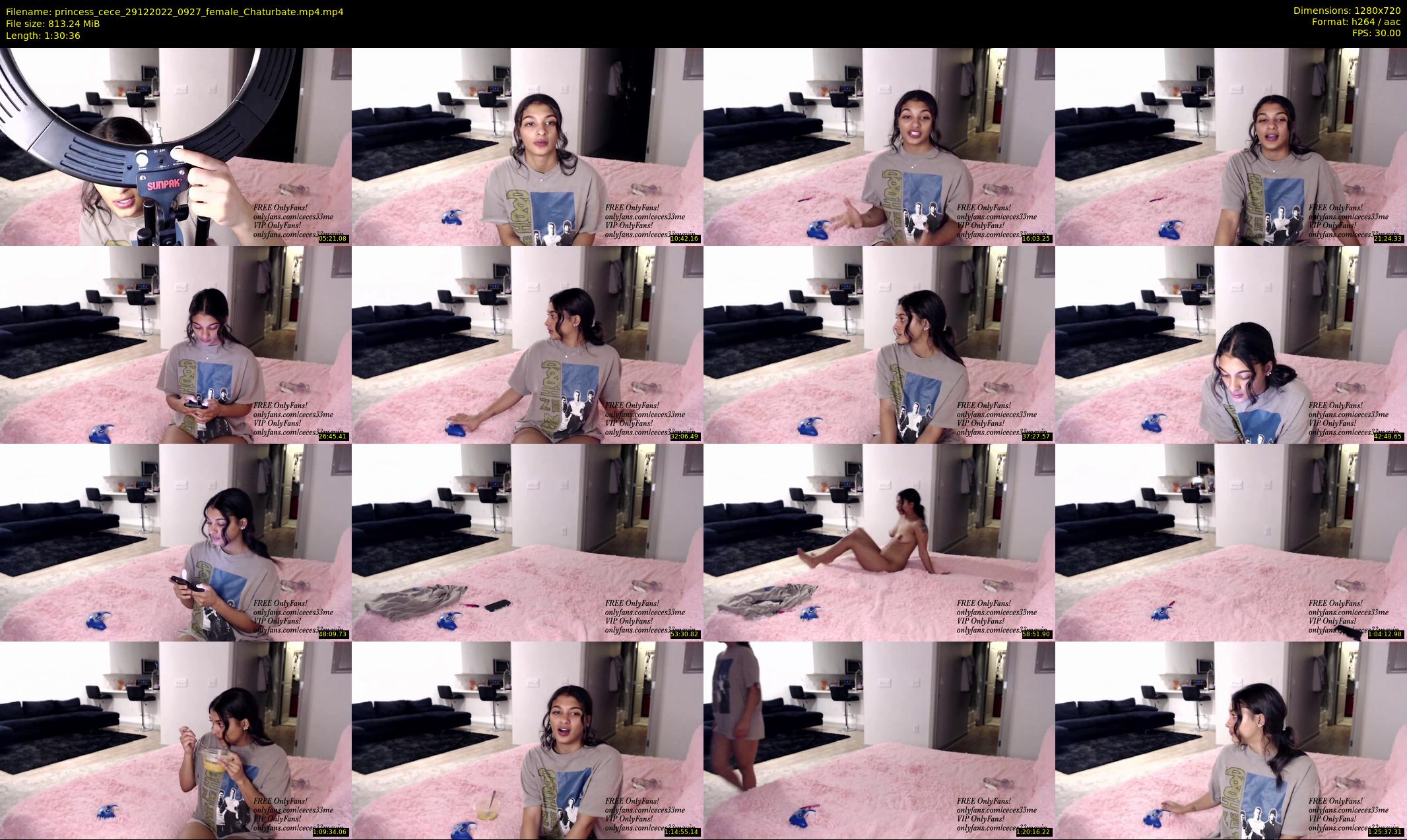 princess_cece — 91 minute Chaturbate female cam show recording, 720p, Dec 29, 2022