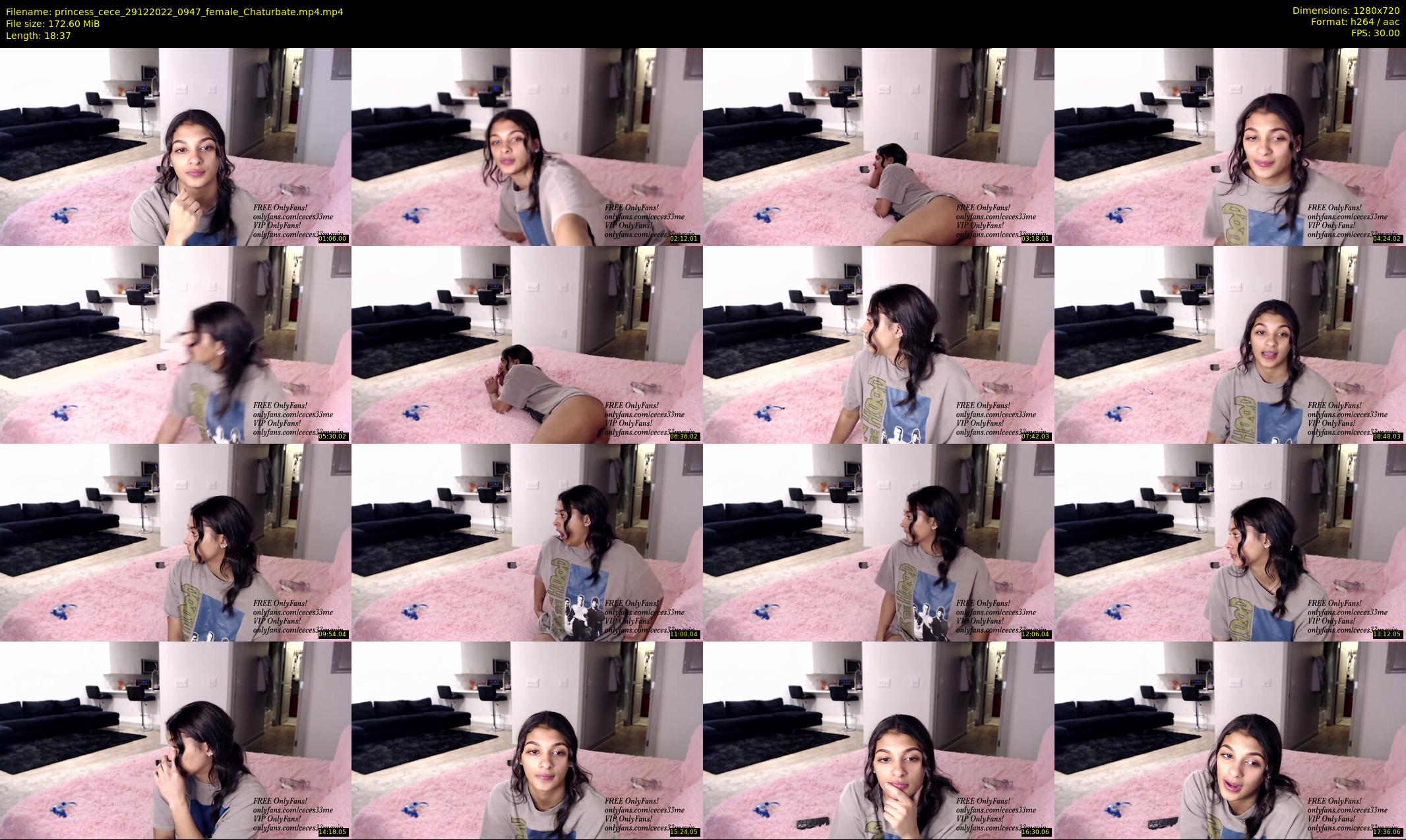 princess_cece — 19 minute Chaturbate female cam show recording, 720p, Dec 29, 2022