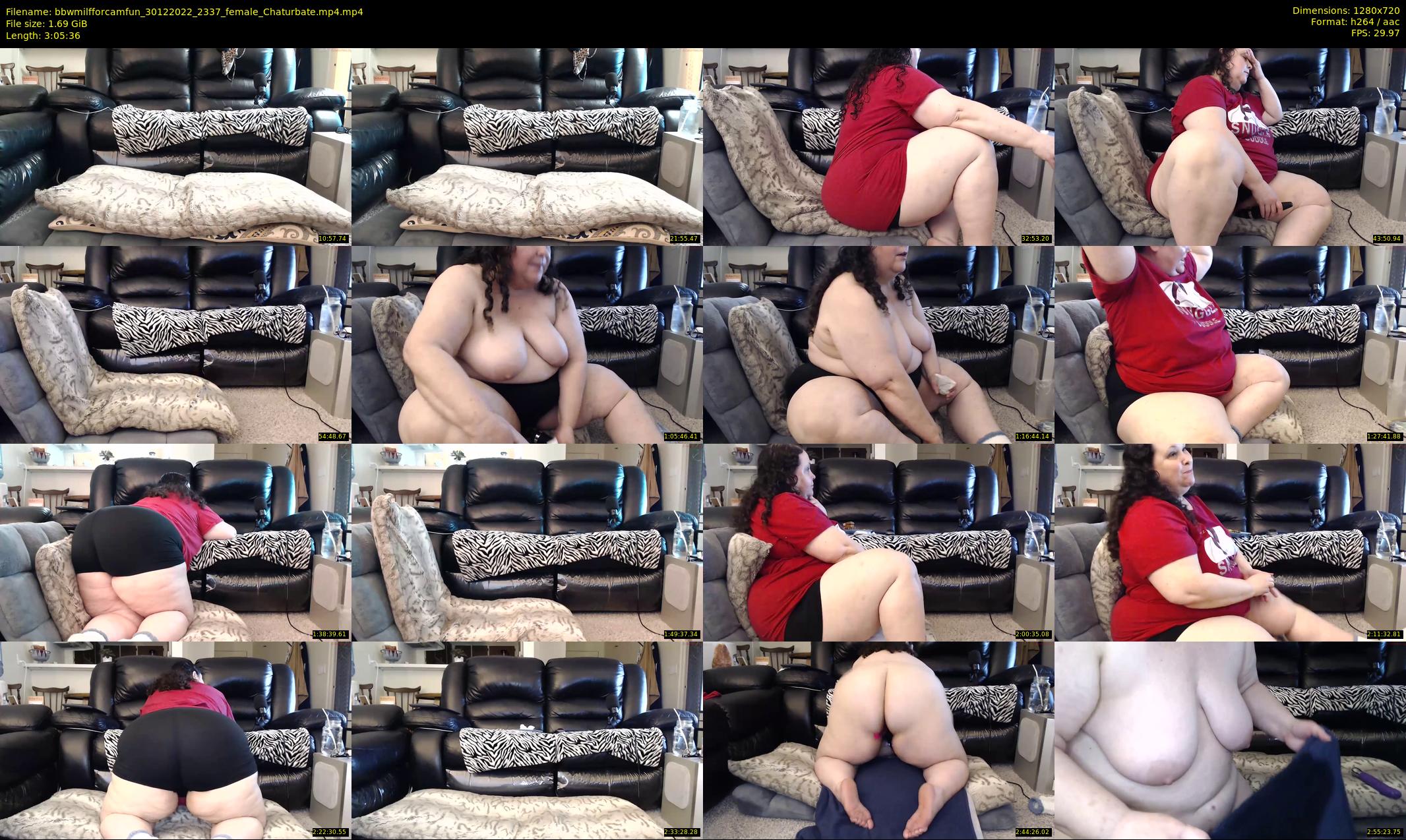 bbwmilfforcamfun — 186 minute Chaturbate female cam show recording, 720p, Dec 30, 2022