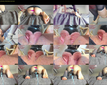 catty190 — 29 minute Chaturbate female cam show recording, 720p, Dec 31, 2022