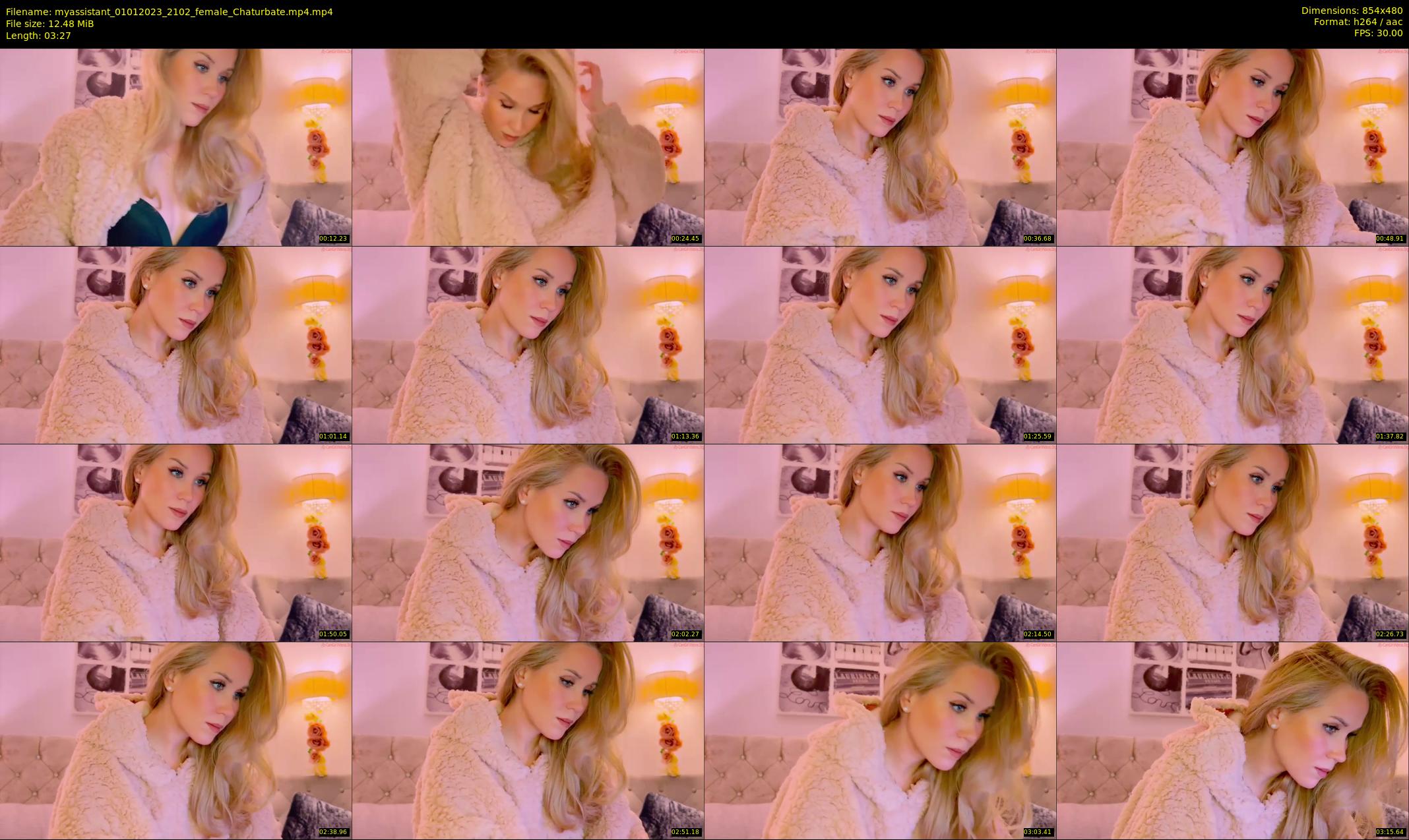 myassistant — 4 minute Chaturbate female cam show recording, 480p, Jan 1, 2023