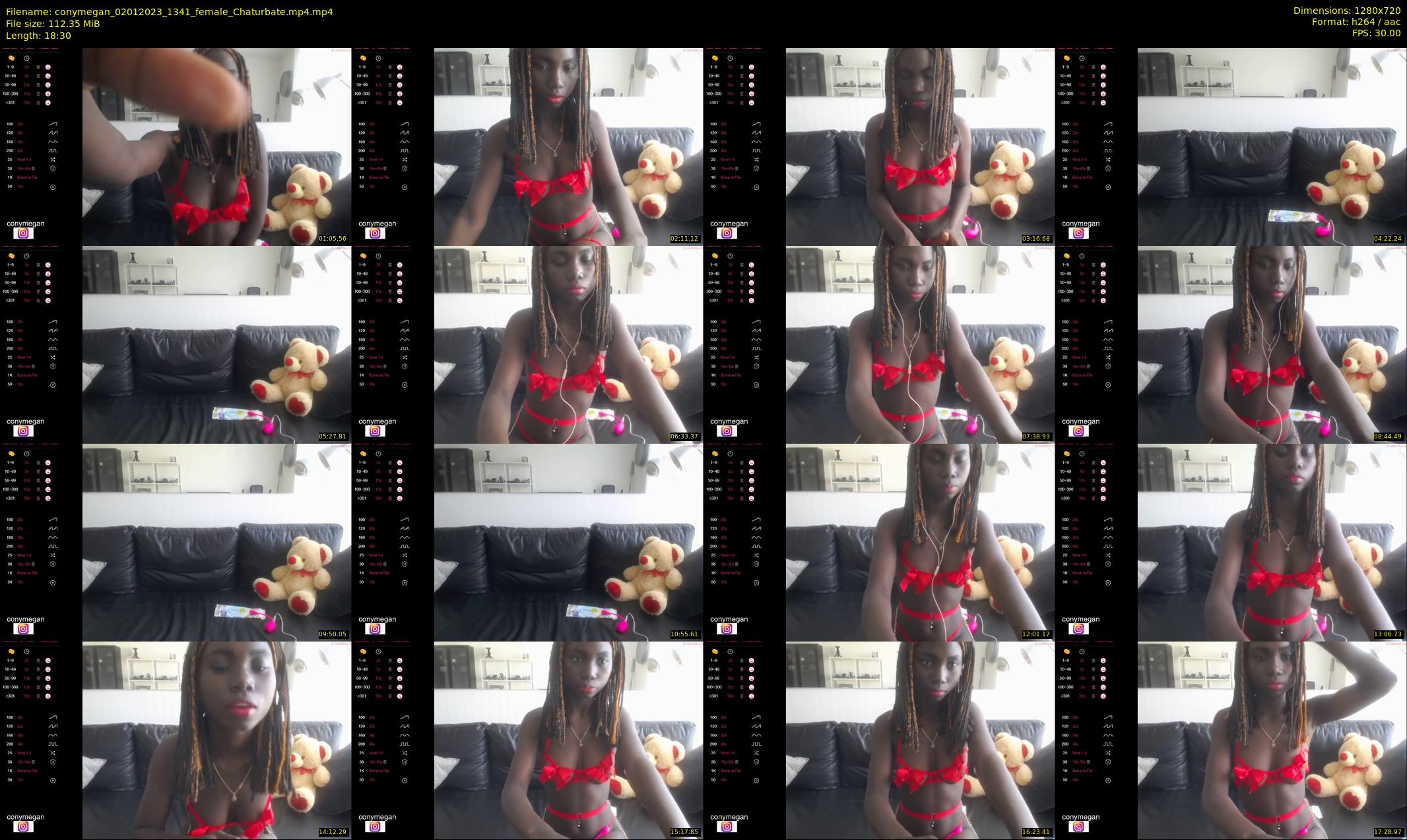 conymegan — 19 minute Chaturbate female cam show recording, 720p, Jan 2, 2023