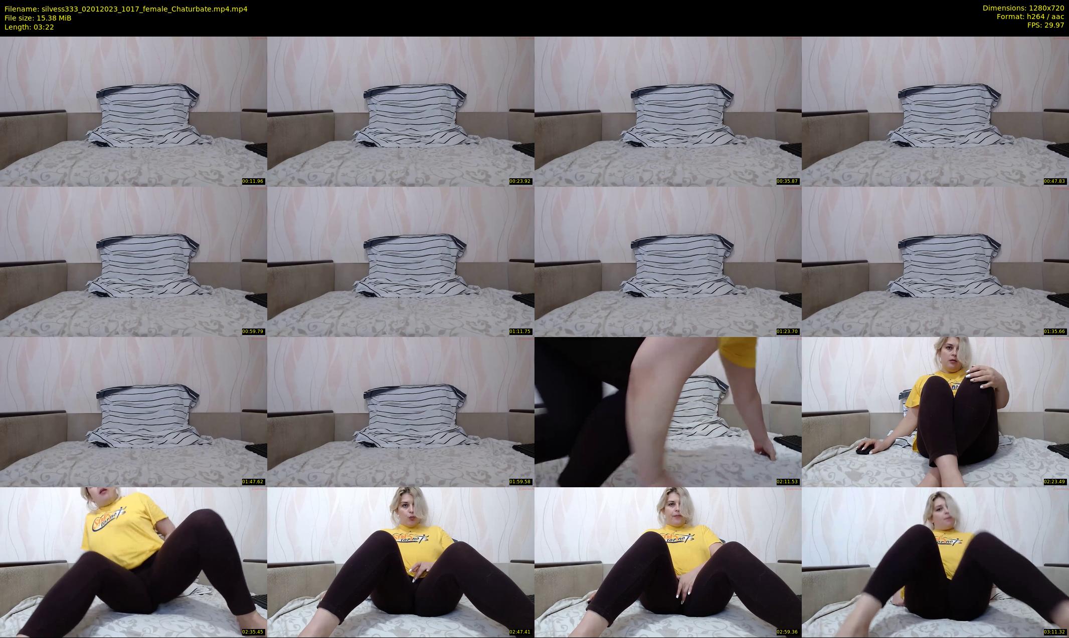silvess333 — 4 minute Chaturbate female cam show recording, 720p, Jan 2, 2023