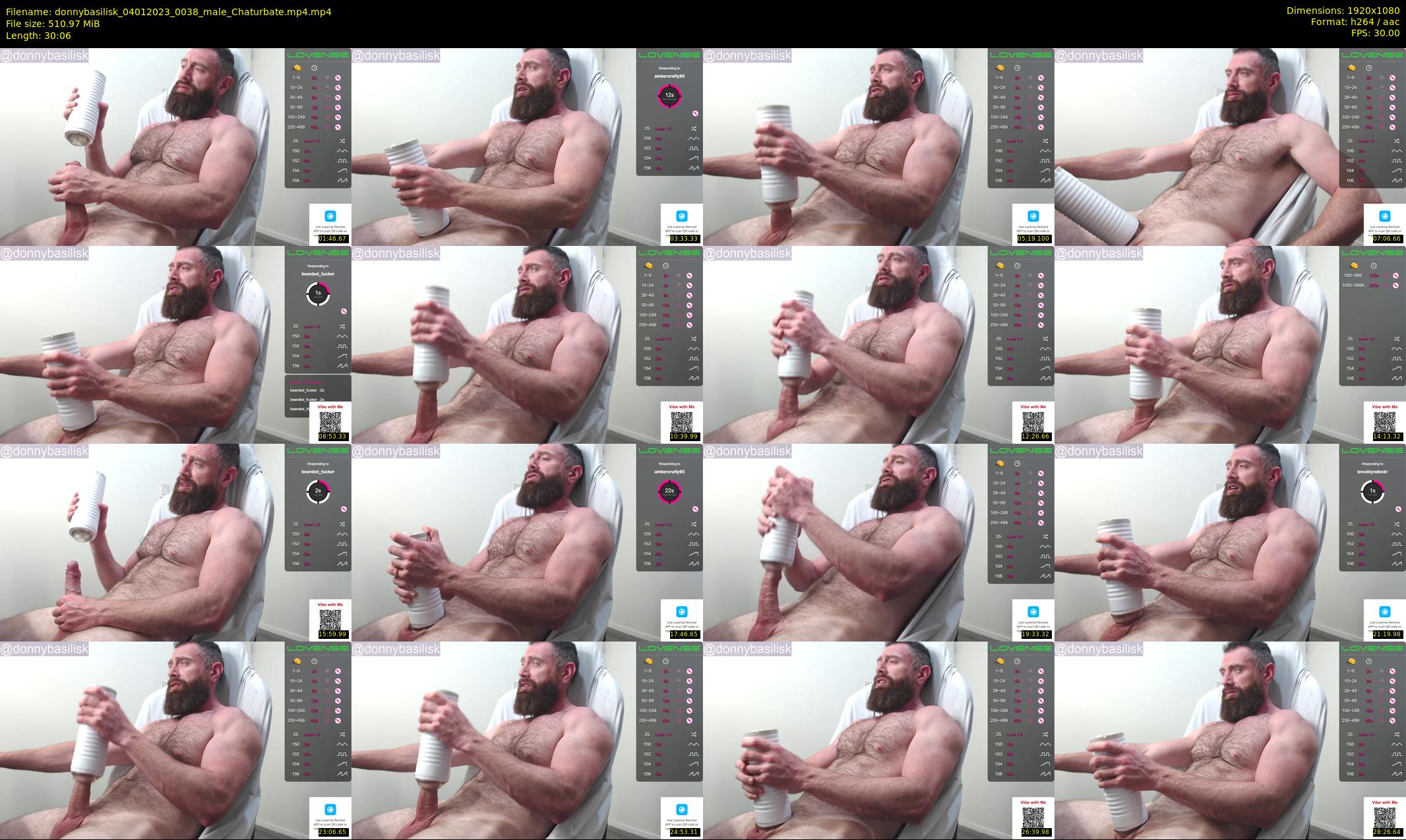 donnybasilisk — 31 minute Chaturbate male cam show recording, 1080p, Jan 4, 2023
