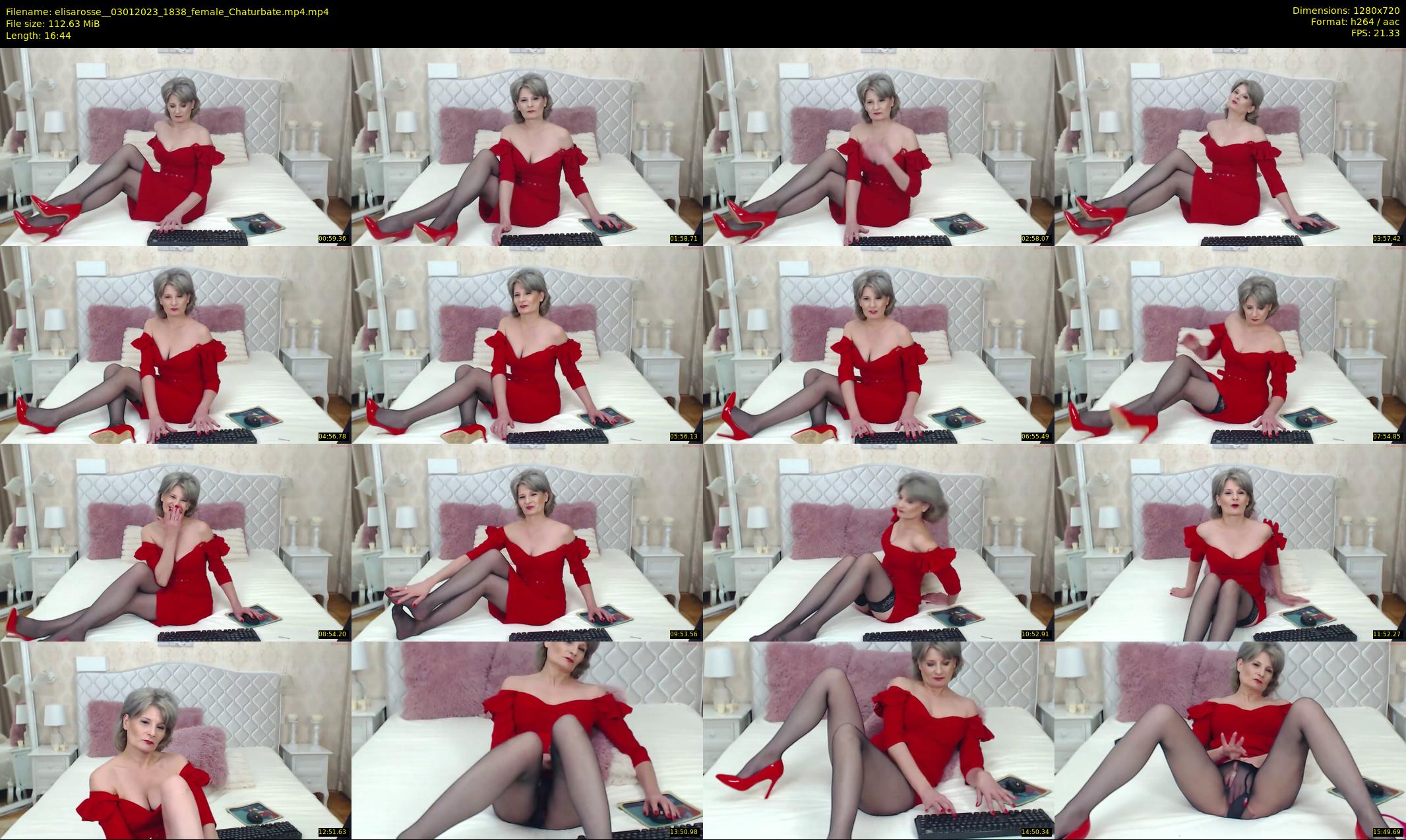 elisarosse_ — 17 minute Chaturbate female cam show recording, 720p, Jan 3, 2023