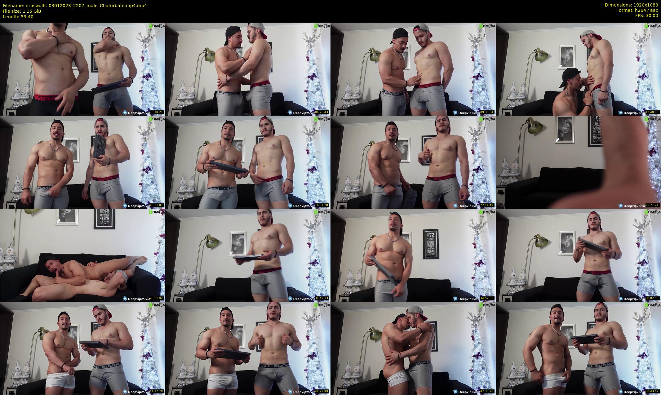 eroswolfs — 54 minute Chaturbate male cam show recording, 1080p, Jan 3, 2023
