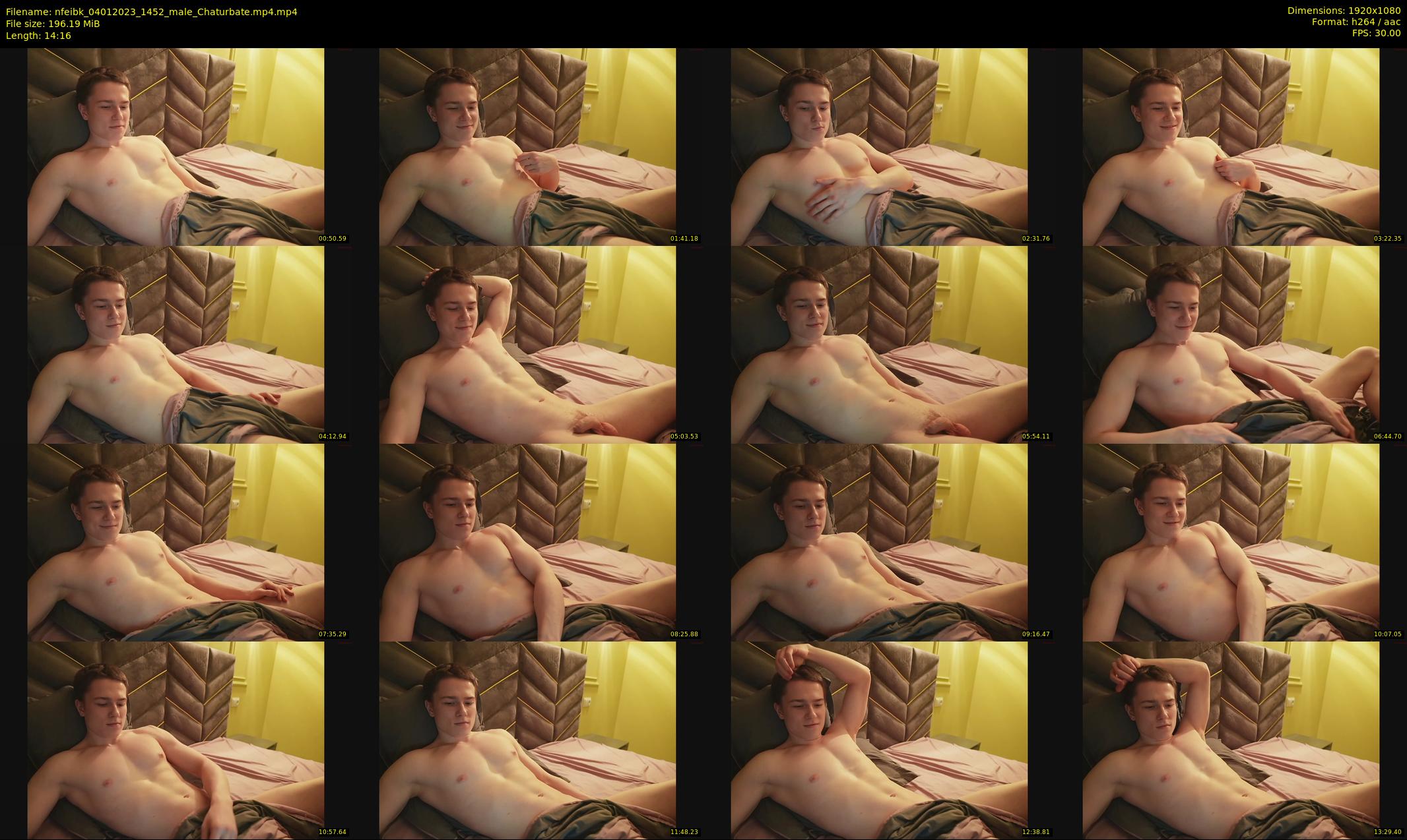 nfeibk — 15 minute Chaturbate male cam show recording, 1080p, Jan 4, 2023
