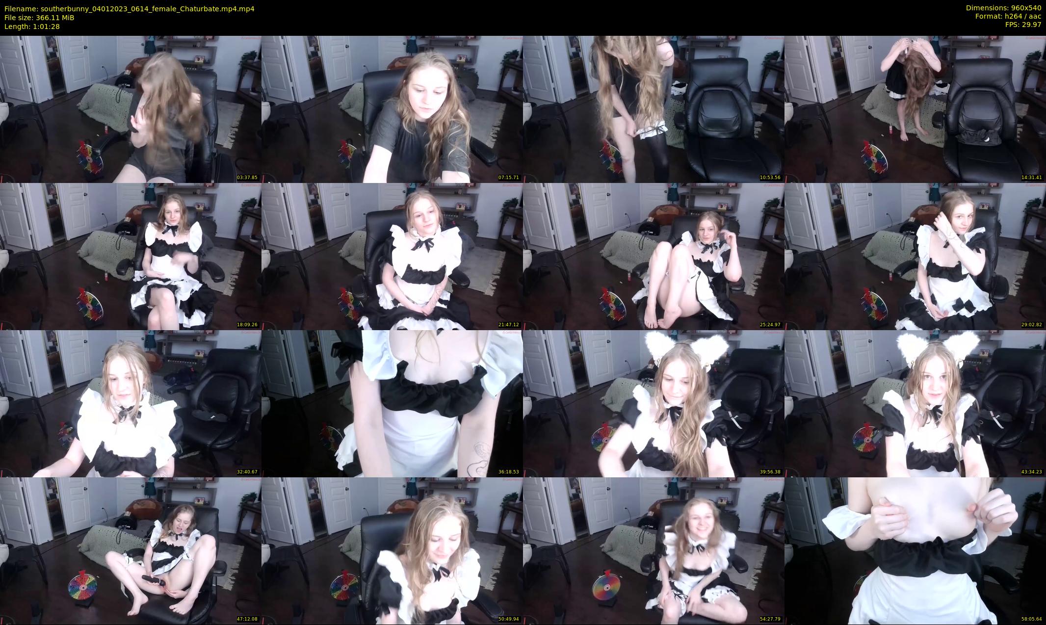 southerbunny — 62 minute Chaturbate female cam show recording, 480p, Jan 4, 2023