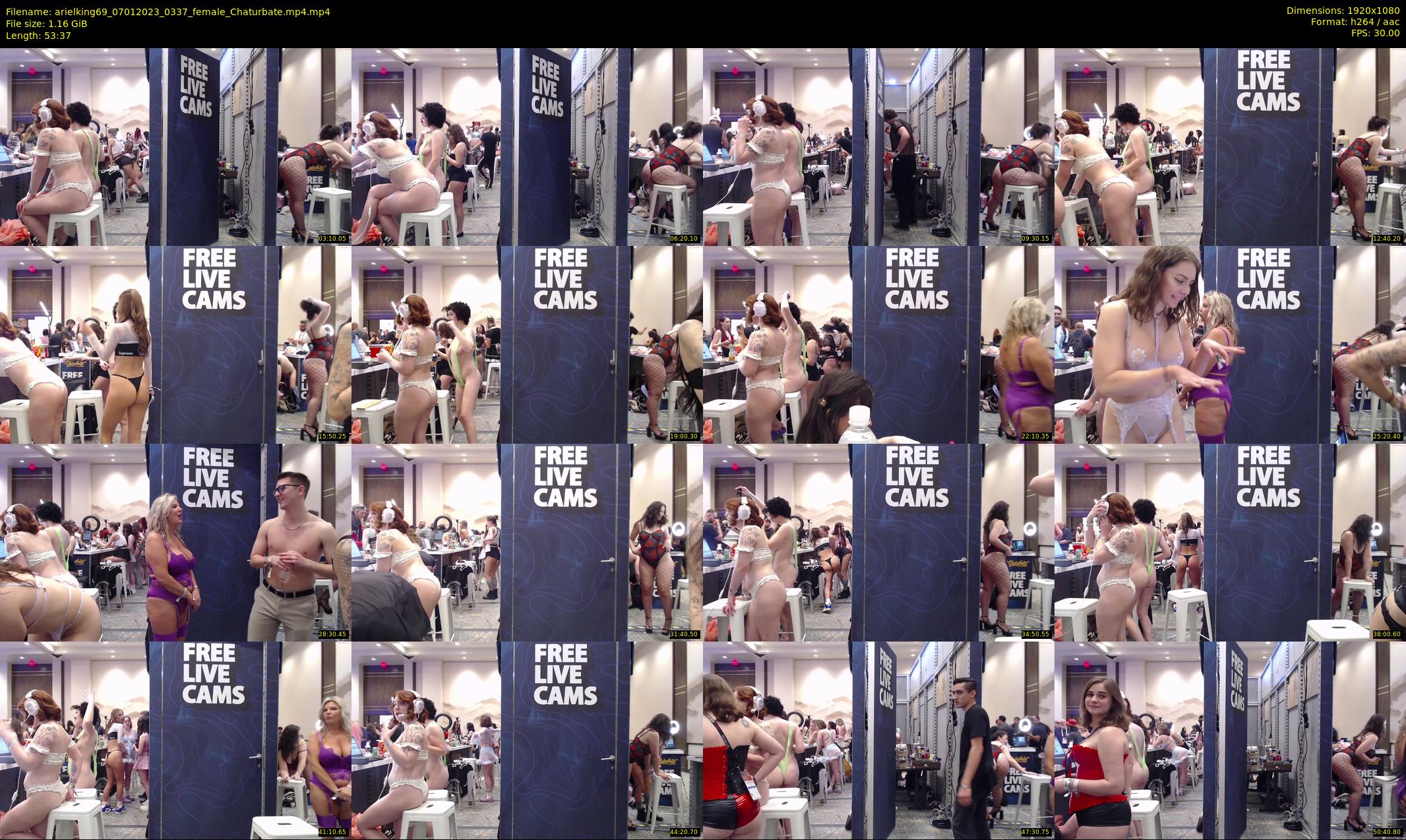 arielking69 — 54 minute Chaturbate female cam show recording, 1080p, Jan 7, 2023