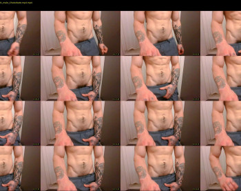 evancage — 4 minute Chaturbate male cam show recording, 480p, Jan 6, 2023