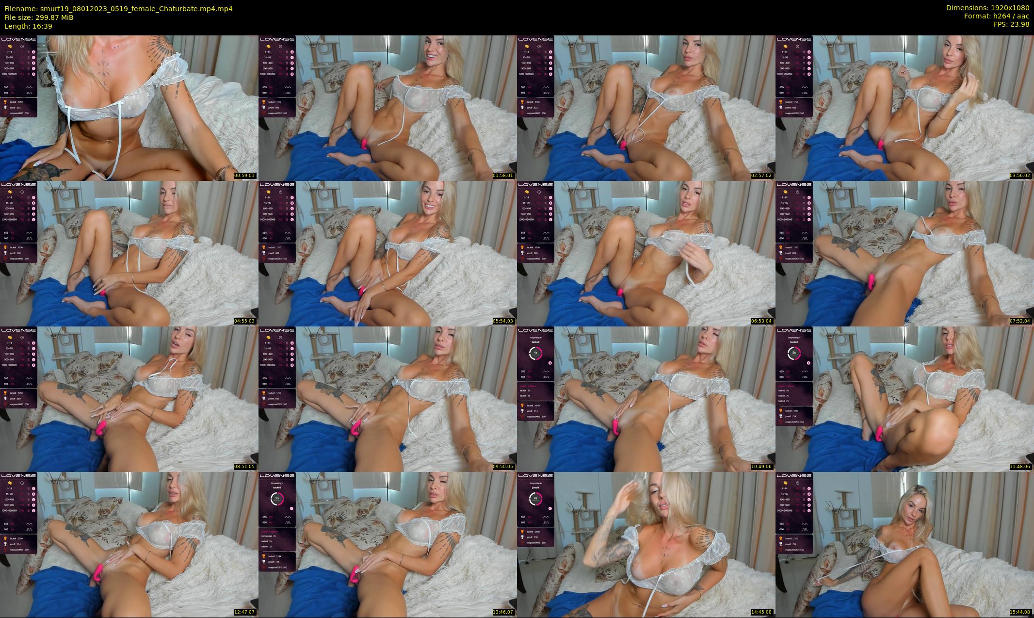 smurf19 — 17 minute Chaturbate female cam show recording, 1080p, Jan 8, 2023