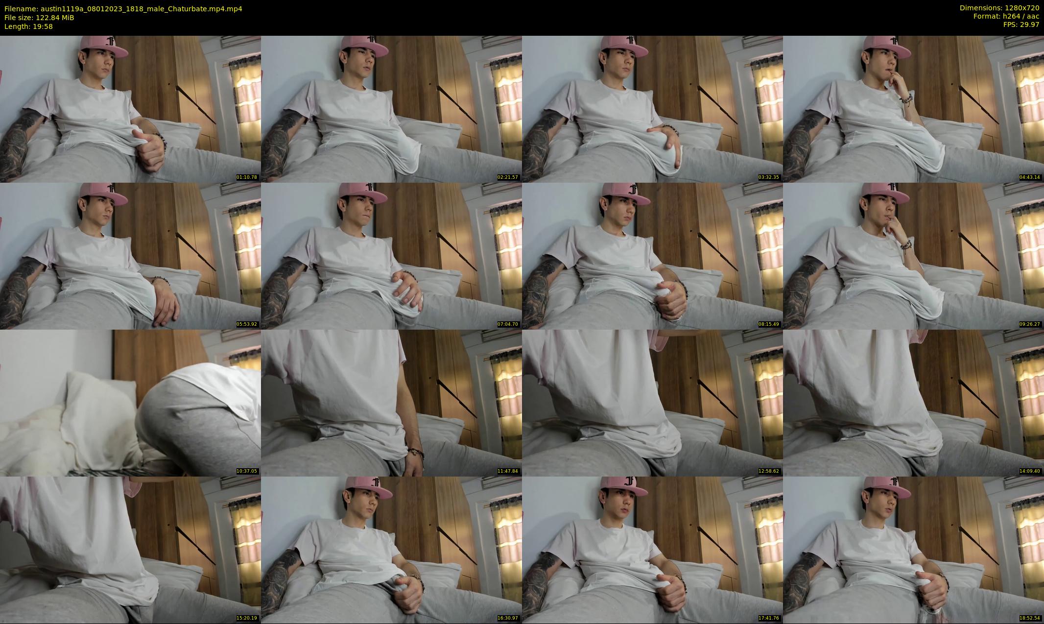 austin1119a — 20 minute Chaturbate male cam show recording, 720p, Jan 8, 2023