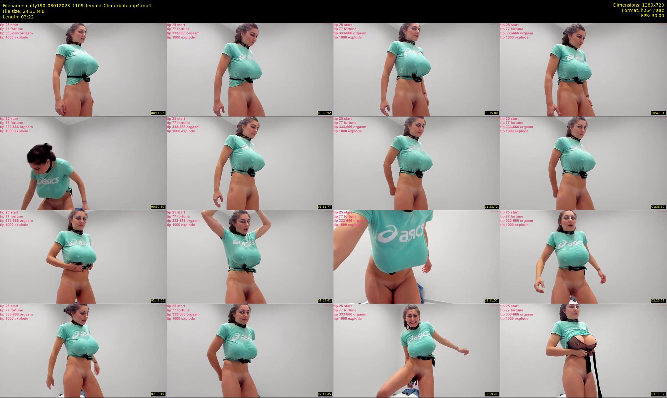 catty190 — 4 minute Chaturbate female cam show recording, 720p, Jan 8, 2023