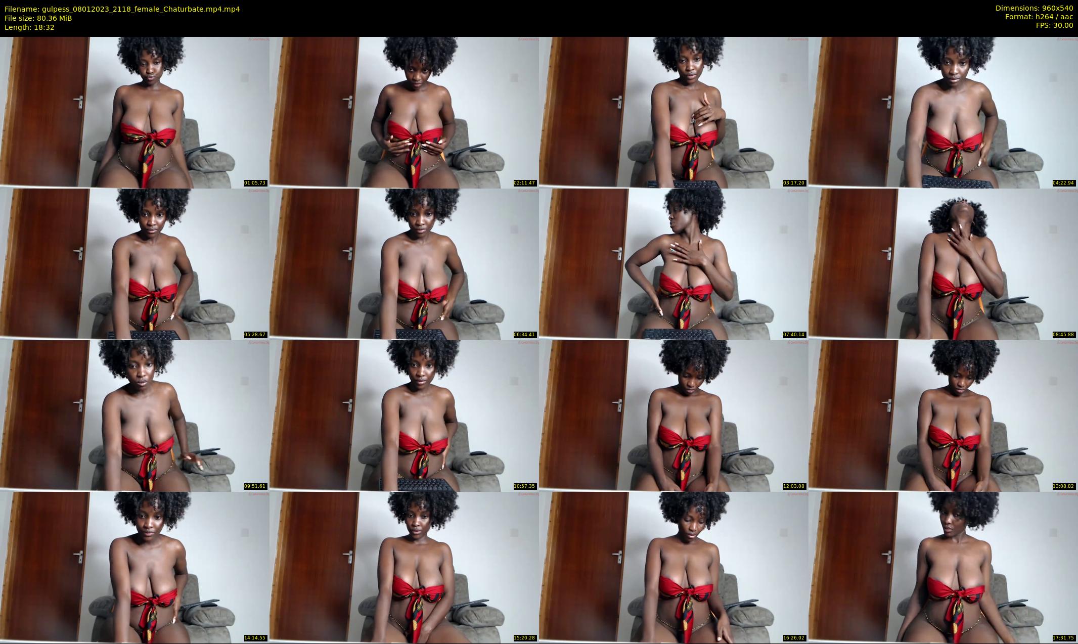 gulpess — 19 minute Chaturbate female cam show recording, 480p, Jan 8, 2023