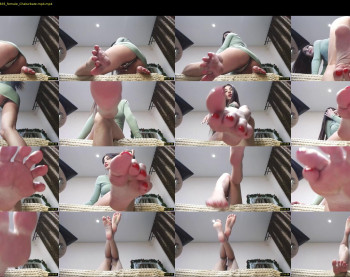 black_alex_ — 14 minute Chaturbate couple cam show recording, 720p, Jan 9, 2023