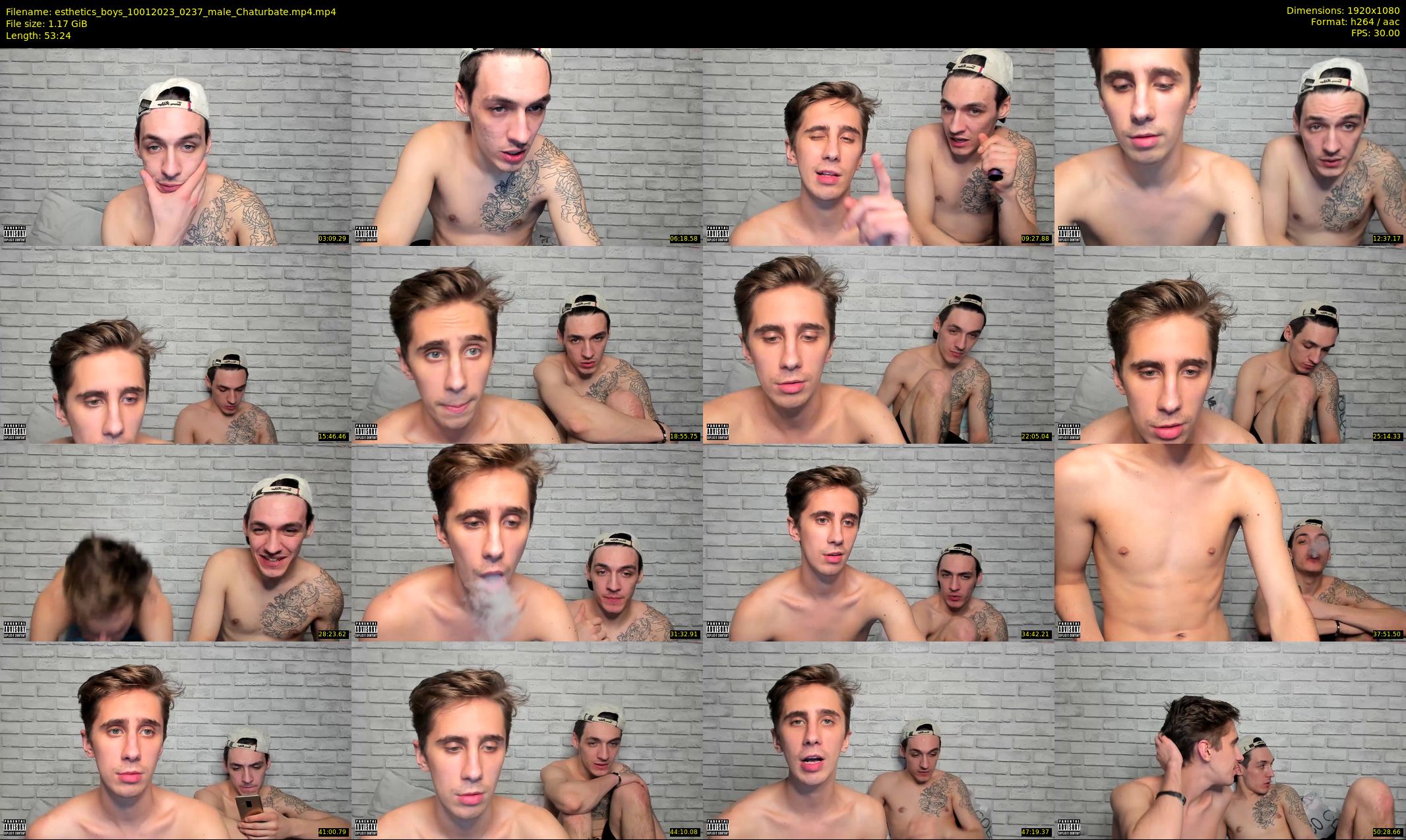 esthetics_boys — 54 minute Chaturbate male cam show recording, 1080p, Jan 10, 2023