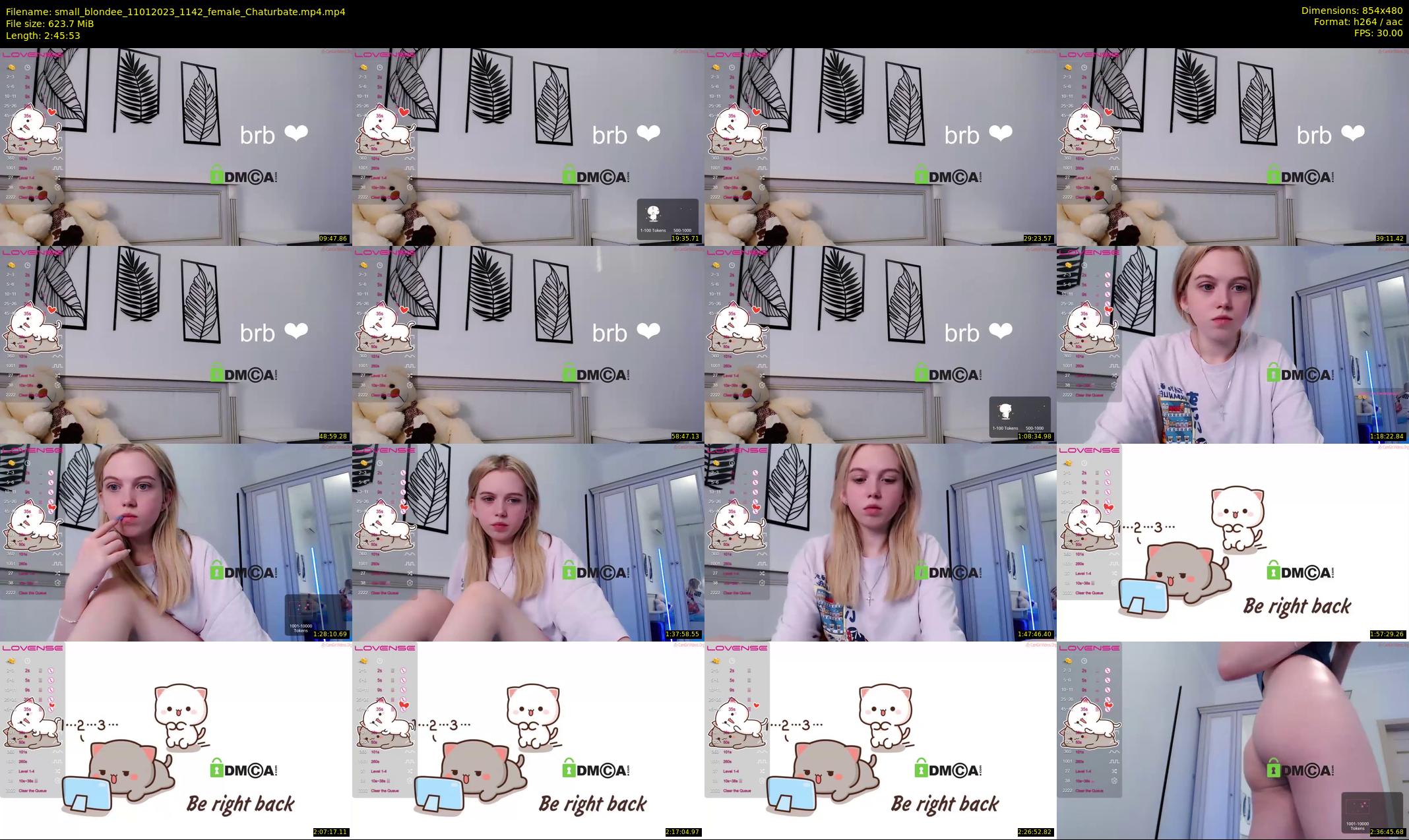 small_blondee — 166 minute Chaturbate female cam show recording, 480p, Jan 11, 2023