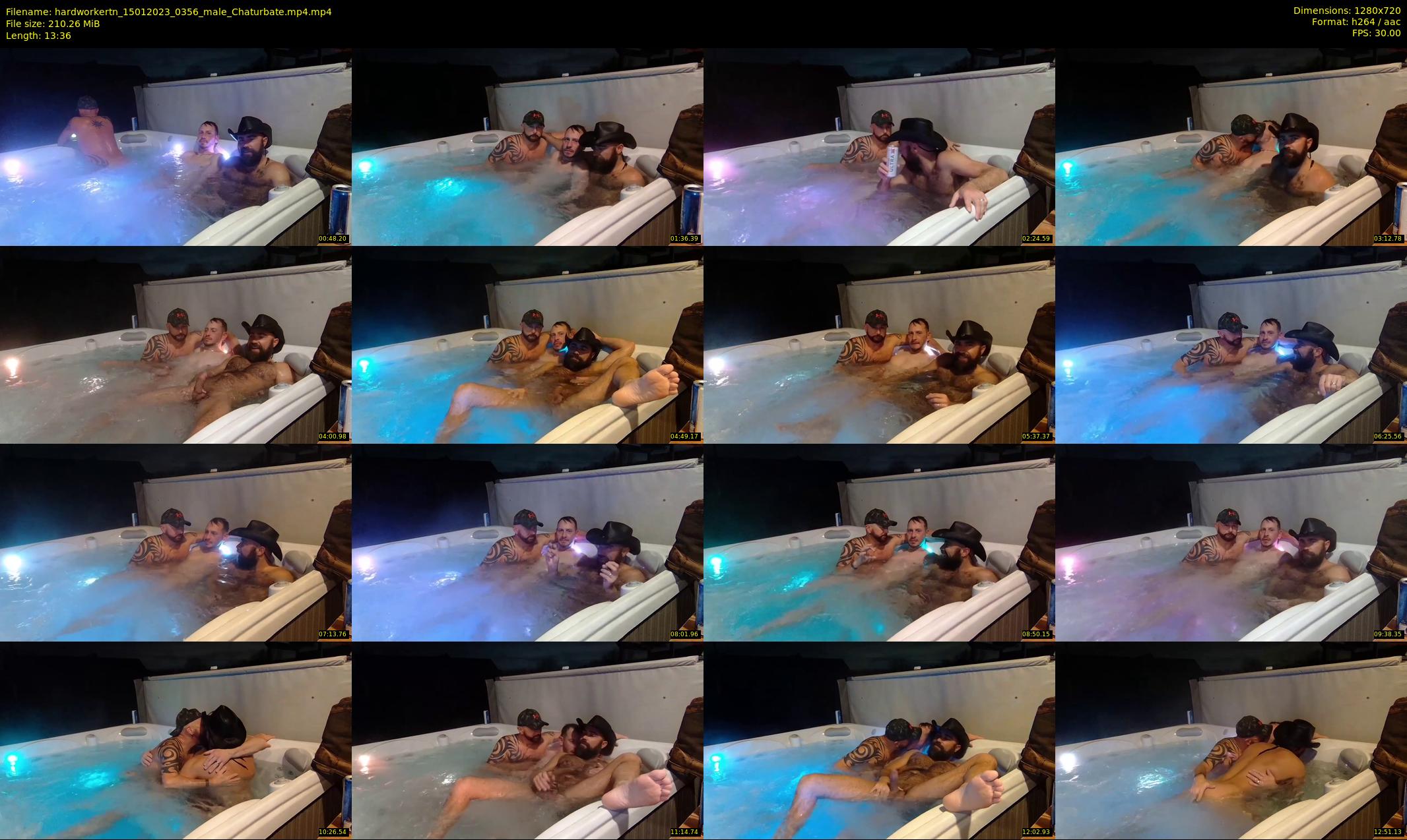hardworkertn — 14 minute Chaturbate male cam show recording, 720p, Jan 15, 2023